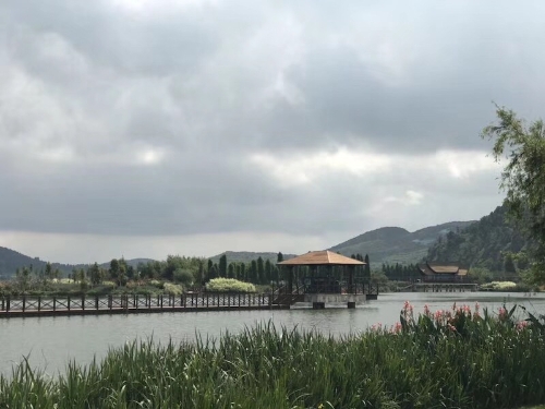 湿地作者张宏宇 湿地作者张宏宇