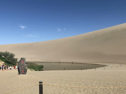 沙漠绿洲              作者：马敏龙
