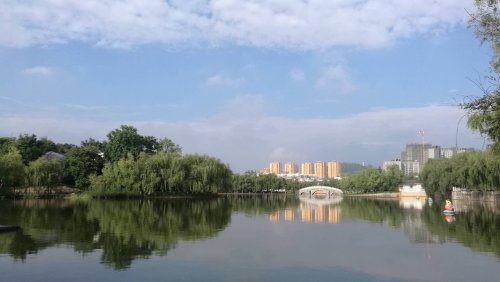 城市中的绿洲        作者：马敏龙
