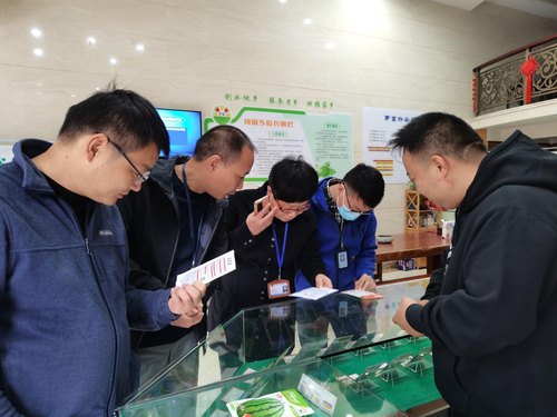 图片10