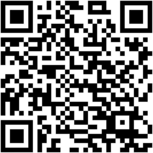 3810087_300x500